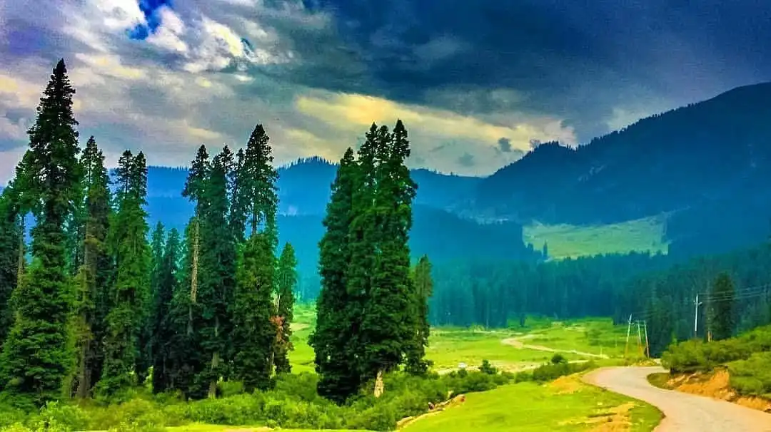 Doodhpathri Nature Walk - Valley of Milk Experience Doodhpathri - The Valley of Milk, Kashmir