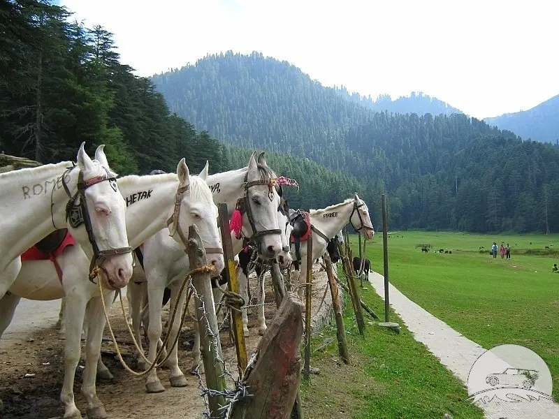Kashmir Adventure Expedition - Trekking and Skiing Kashmir Adventure Tour Package